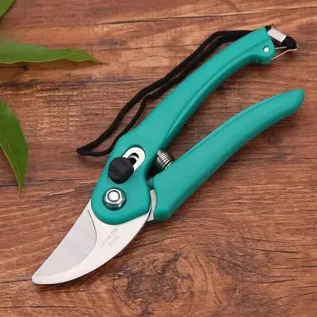 pruner1.webp