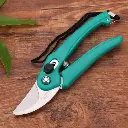 pruner1.webp